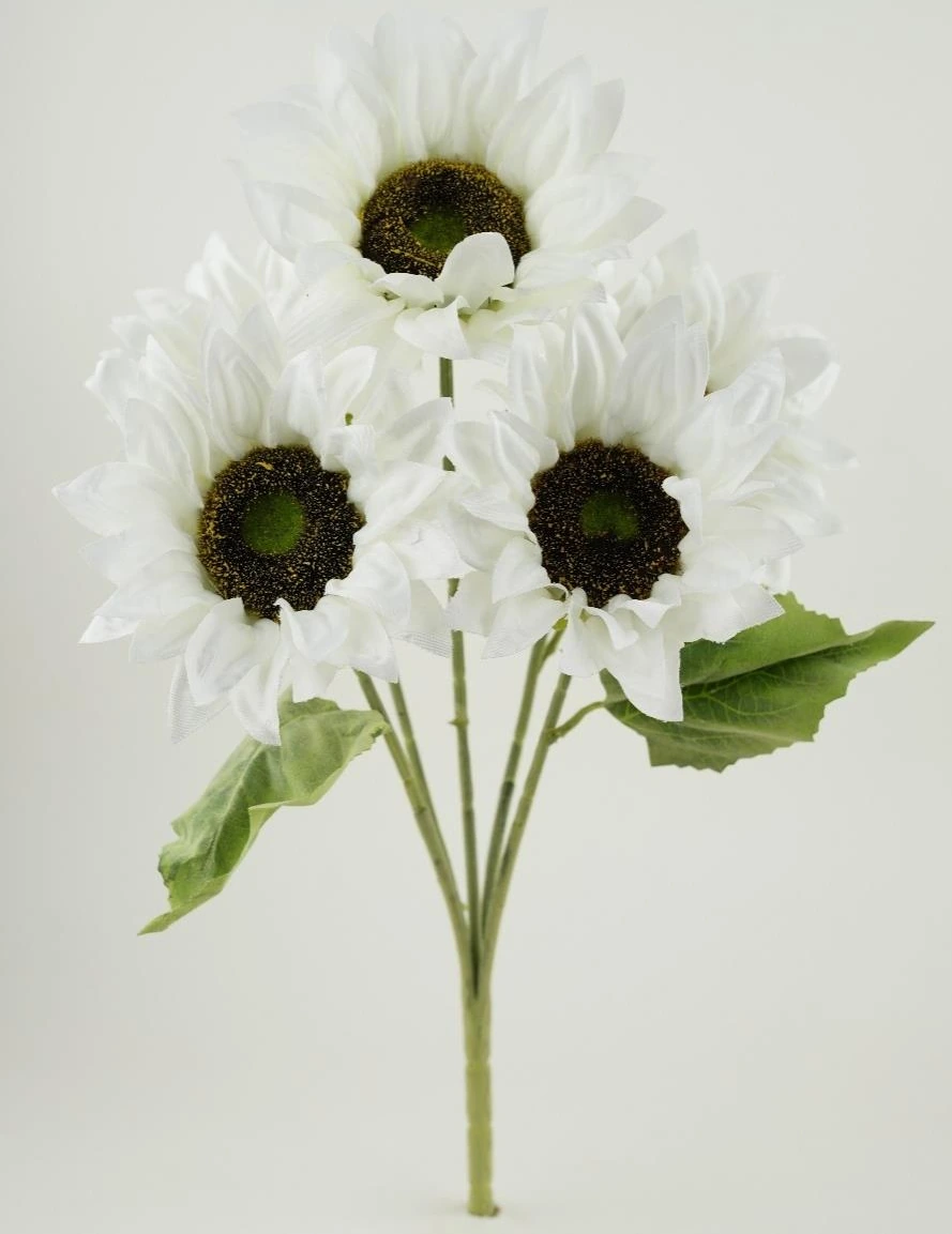 Sunflowers Bunch x5